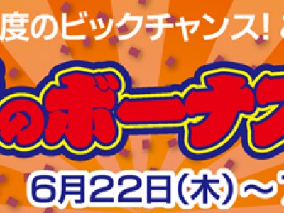 2017　夏のボーナスセール　開催中！！