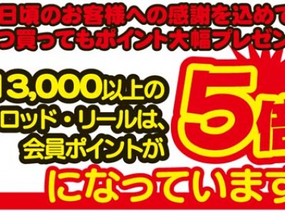 ロッド・リールの会員ポイントが大幅アップが継続します！！！